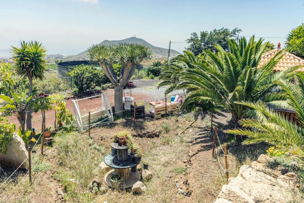 Apartamento B Armonia Rural Granadilla de Abona Kültér fotó